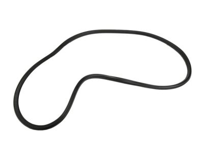 GM 20993866 Weatherstrip On Body