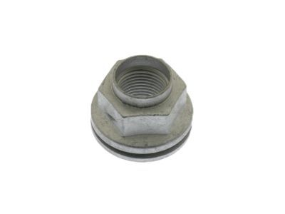 GM 92216821 Axle Nut