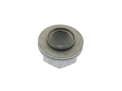 GM 92216821 Axle Nut