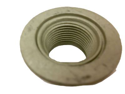 GM 11611234 Axle Nut