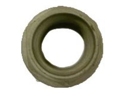 GM 11611234 Axle Nut