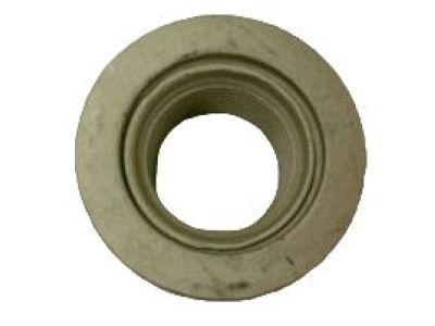 GM 11611234 Axle Nut