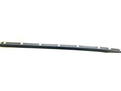 GM 10284223 Belt Weatherstrip