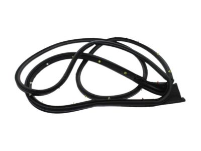 GM 84769032 Lower Weatherstrip