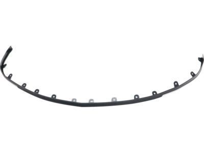 GM 20849309 Deflector