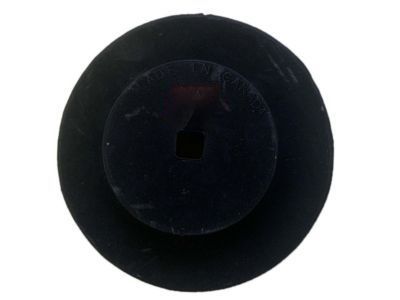 GM 15765071 Lower Insulator