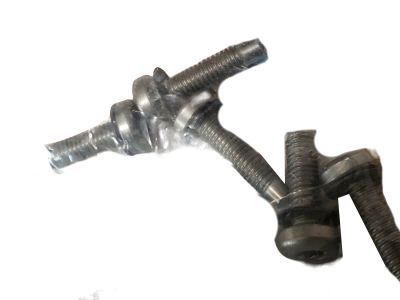 GM 15966436 Bolt/Screw-Fuel Tank Filler Pipe Housing *Stainless