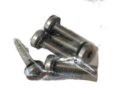 GM 15966436 Bolt/Screw-Fuel Tank Filler Pipe Housing *Stainless
