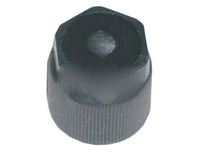 GM 88957401 Suction Hose Cap