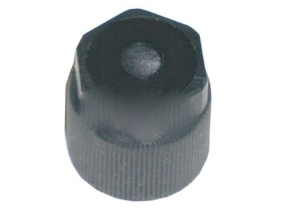 GM 88957401 Suction Hose Cap