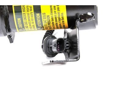 GM 23506973 Strut