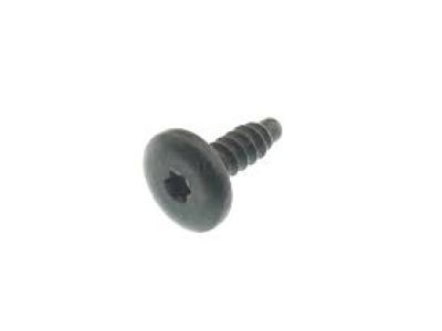 GM 11611881 Radio Screw