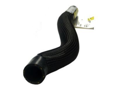 GM 19260860 Upper Hose