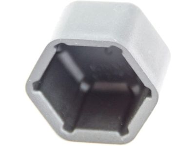 GM 15835929 Cap, Rear Tow Hook Nut