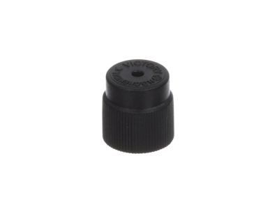 GM 96961786 Liquid Line Cap