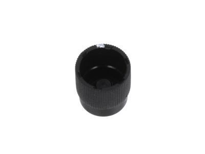 GM 96961786 Liquid Line Cap