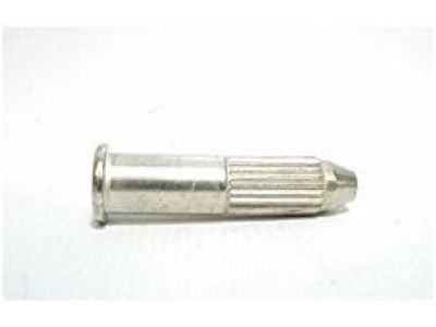 GM 20262500 Lower Hinge Pin