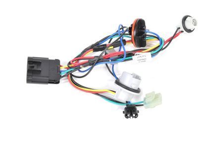 GM 25842432 Socket & Wire