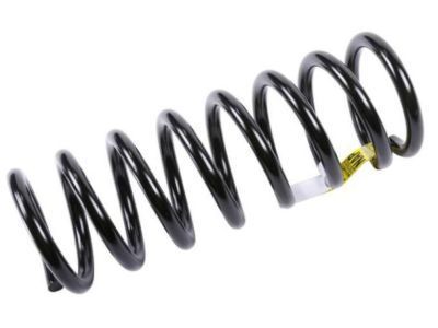 GM 22076935 Rear Spring