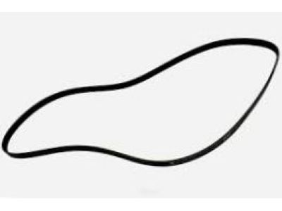 GM 55579905 Serpentine Belt