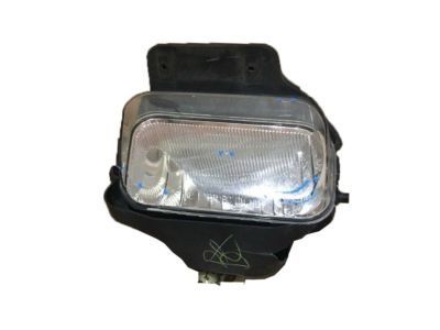 GM 15190982 Fog Lamp Assembly