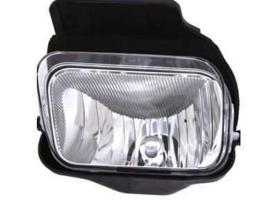 GM 15190982 Fog Lamp Assembly