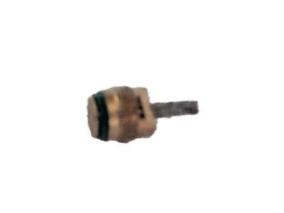 GM 10245619 AC Tube Valve