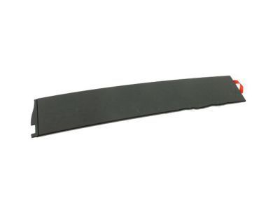 GM 84263144 Applique Asm-Front Side Door Window Frame Rear