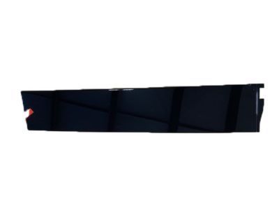 GM 84263144 Applique Asm-Front Side Door Window Frame Rear