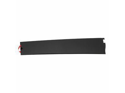 GM 84263144 Applique Asm-Front Side Door Window Frame Rear