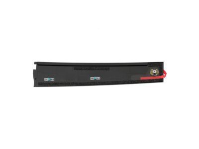 GM 84263144 Applique Asm-Front Side Door Window Frame Rear