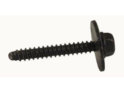 GM 11610068 Deflector Bolt