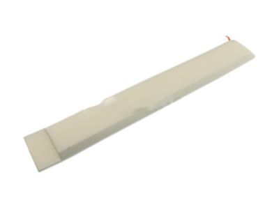 GM 25991800 Body Side Molding