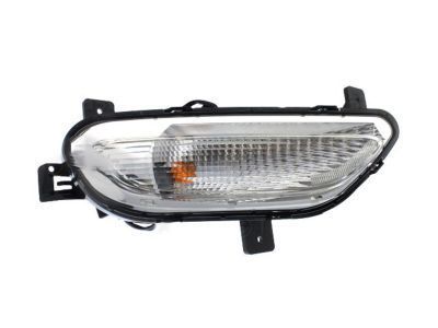 GM 42663534 Signal Lamp Assembly
