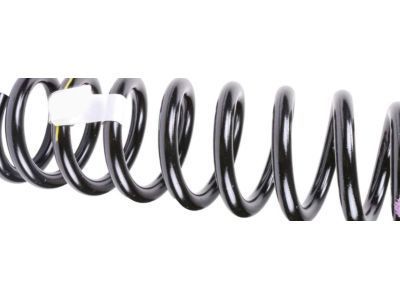 GM 23426904 Coil Spring