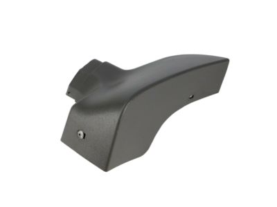 GM 15768594 Lower Molding