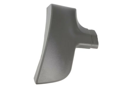 GM 15768594 Lower Molding