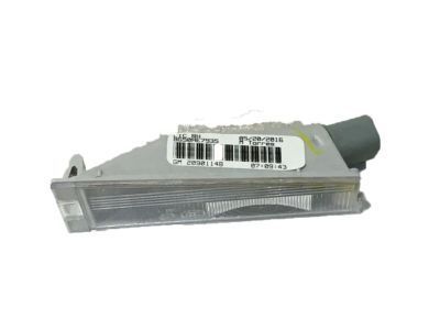 GM 20901148 License Lamp