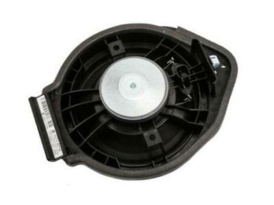 GM 84248776 Rear Door Speaker