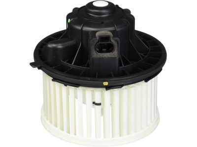 GM 89019320 Fan & Motor