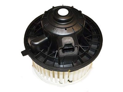 GM 89019320 Fan & Motor