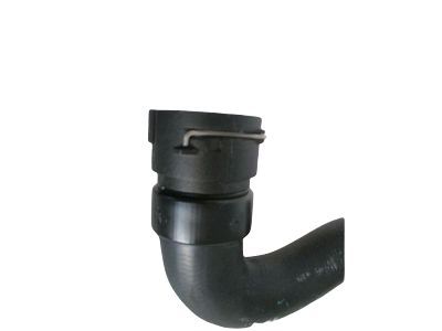 GM 13251435 Lower Hose