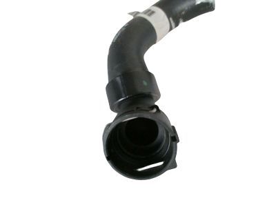 GM 13251435 Lower Hose