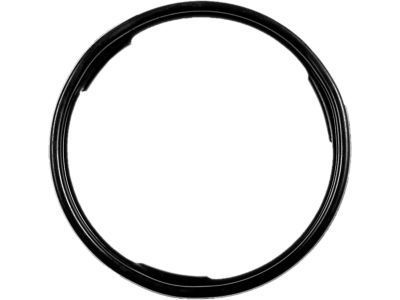 GM 22515965 Module Seal