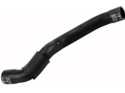 GM 95129353 Upper Hose