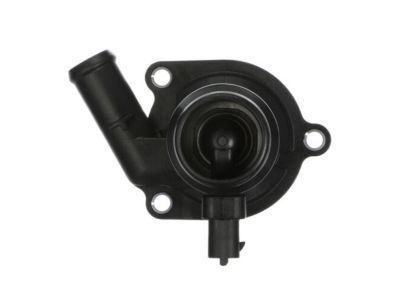 GM 25200455 Thermostat Unit