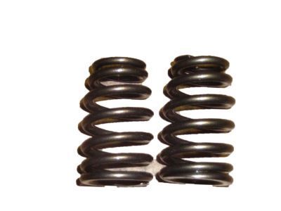 GM 12616671 Valve Springs