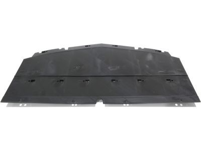 GM 23273619 Front Deflector
