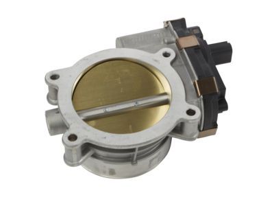 GM 12678223 Throttle Body