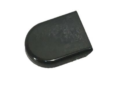 GM 25788745 Wiper Arm Cap